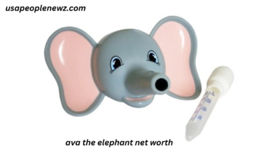 ava the elephant net worth